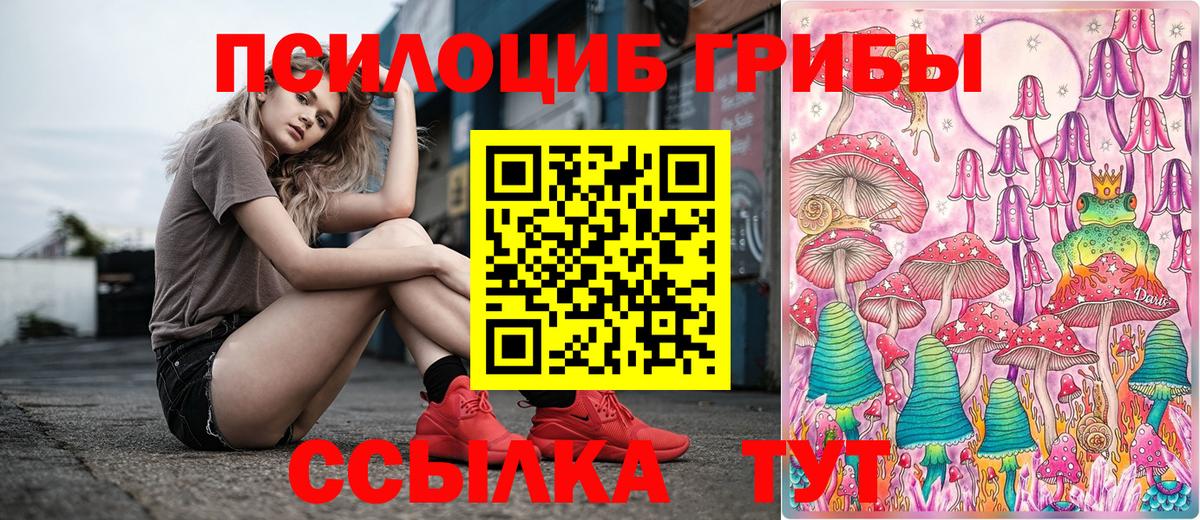 Псилоцибиновые грибы MAGIC MUSHROOMS Гатчина