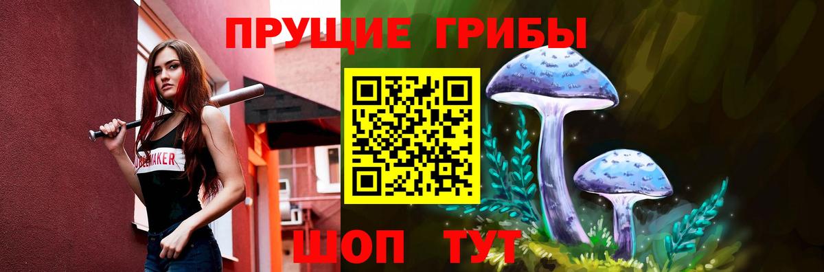 Гатчина  Псилоцибиновые грибы GOLDEN TEACHER  Вход с VPN 